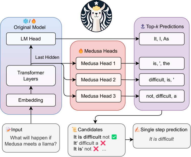 Medusa 在原始模型旁增加多个预测头并生成未来 token 候选